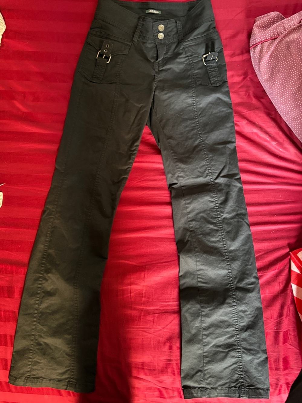 wild fable Black Low-Rise Pants with Buckle Accent